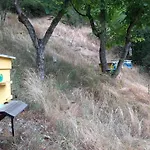 на село Гостевой дом