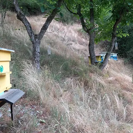 на село Nyaraló