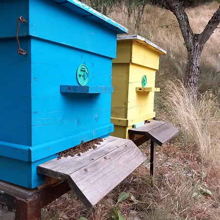 Ваканционна къща на село