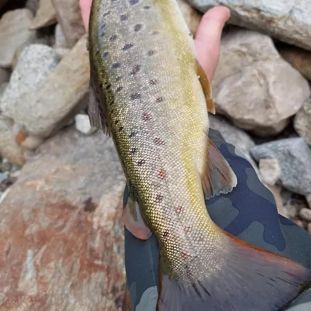 на село Ваканционна къща