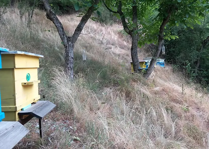 на село Дом отдыха