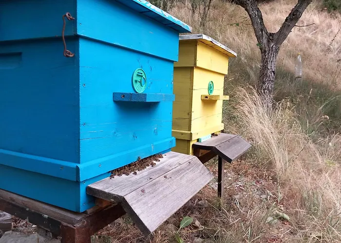 בית נופש на село